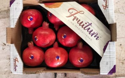 Fruitum: Proveedor de granadas para Mercadona en una campaña histórica